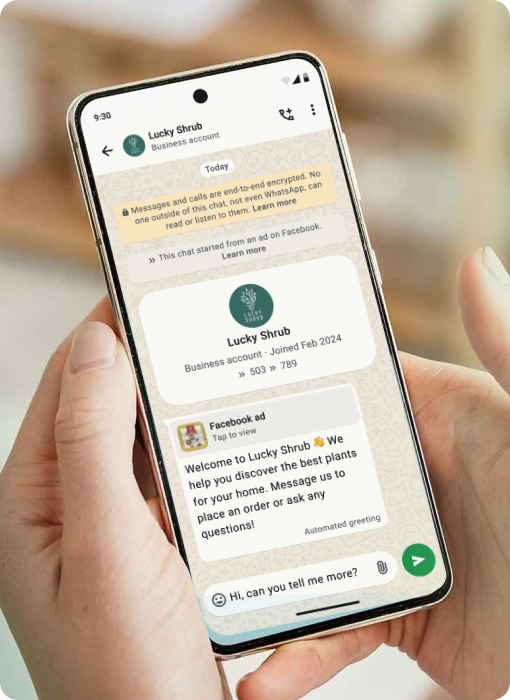 Click-to-WhatsApp Ads